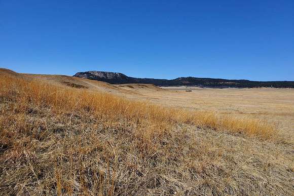 113.59 Acres of Recreational Land for Sale in Sundance, Wyoming