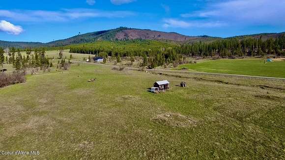 10 Acres of Recreational Land for Sale in Fernwood, Idaho