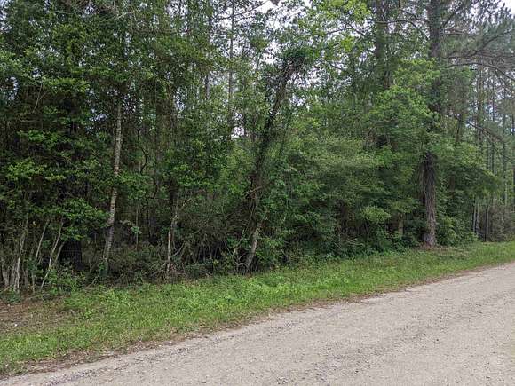 10 Acres of Residential Land for Sale in Buna, Texas