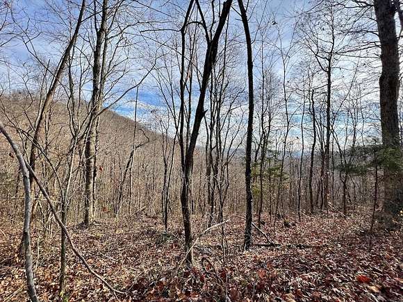 39.2 Acres of Land for Sale in Jamestown, Tennessee