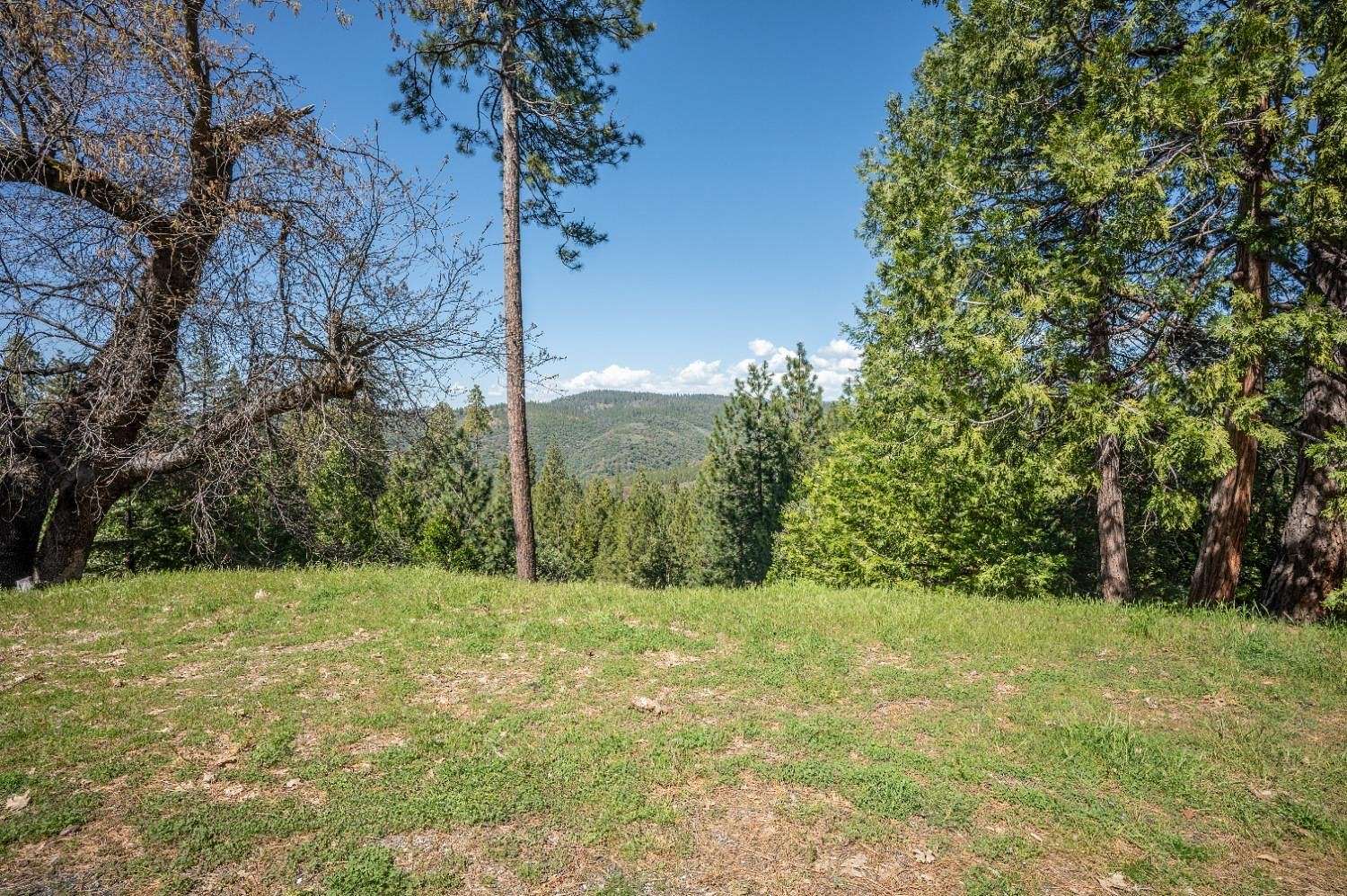 0.28 Acres of Residential Land for Sale in Murphys, California