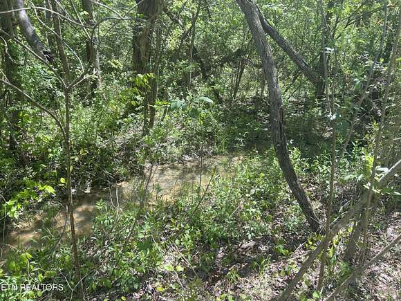 29 Acres of Recreational Land for Sale in Tellico Plains, Tennessee
