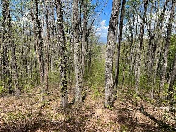 1.1 Acres of Land for Sale in Young Harris, Georgia