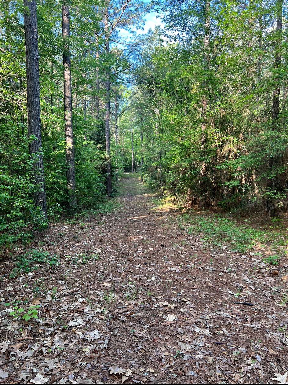 40 Acres of Recreational Land & Farm for Sale in Eros, Louisiana