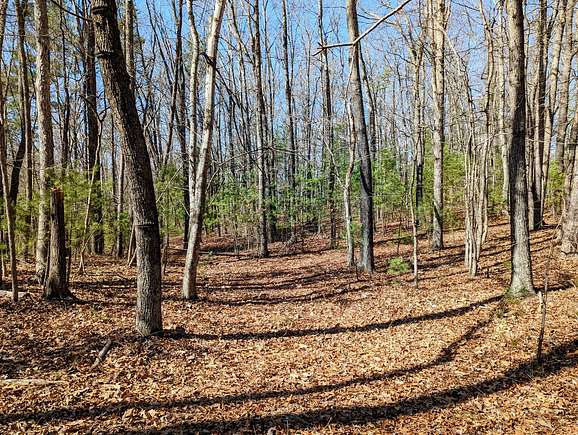 29.62 Acres of Land for Sale in Max Meadows, Virginia