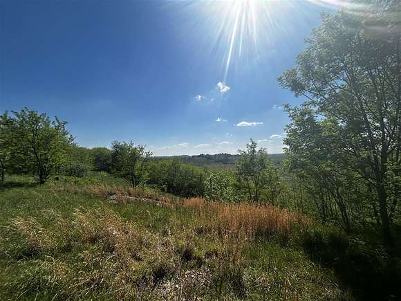 515 Acres of Land for Sale in Drakesboro, Kentucky