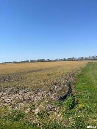 26.8 Acres of Agricultural Land for Sale in Lovington, Illinois