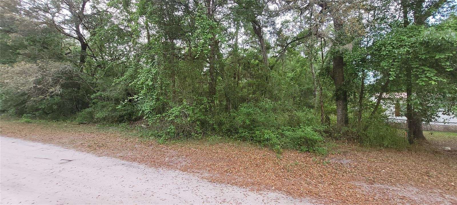 0.22 Acres of Residential Land for Sale in Fort McCoy, Florida
