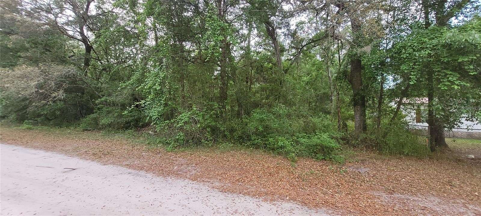 0.22 Acres of Land for Sale in Fort McCoy, Florida