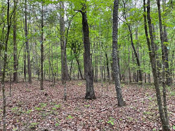 33 Acres of Land for Auction in Ringgold, Georgia