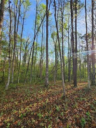 8.1 Acres of Residential Land for Sale in Cumberland, Virginia