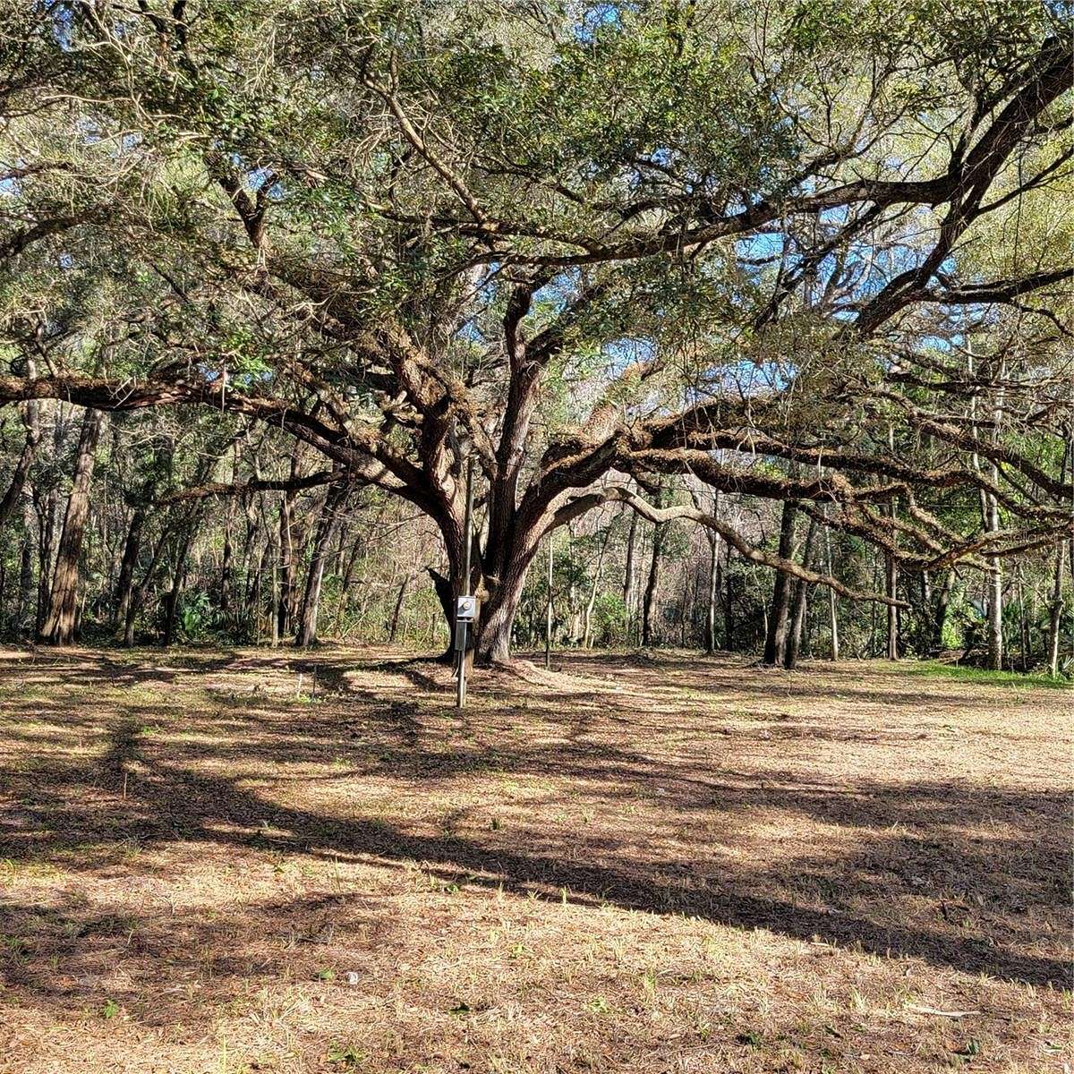 4 Acres of Residential Land for Sale in Gainesville, Florida
