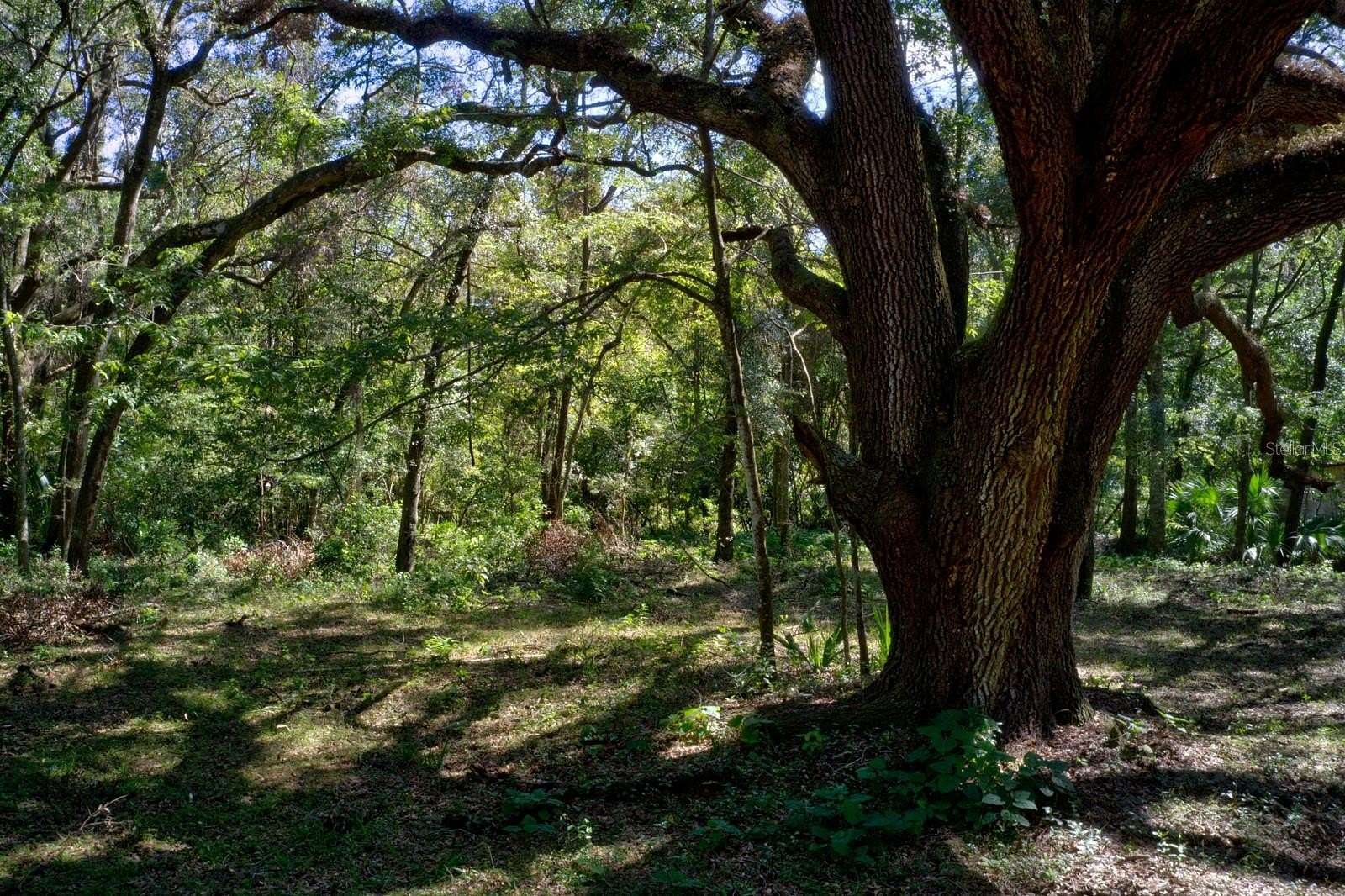 4 Acres of Residential Land for Sale in Gainesville, Florida