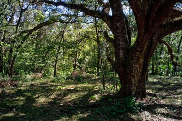 4 Acres of Residential Land for Sale in Gainesville, Florida