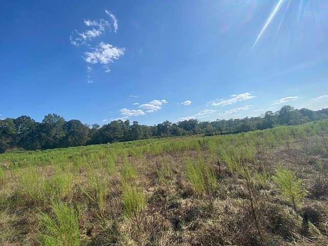65 Acres of Recreational Land for Sale in Osyka, Mississippi