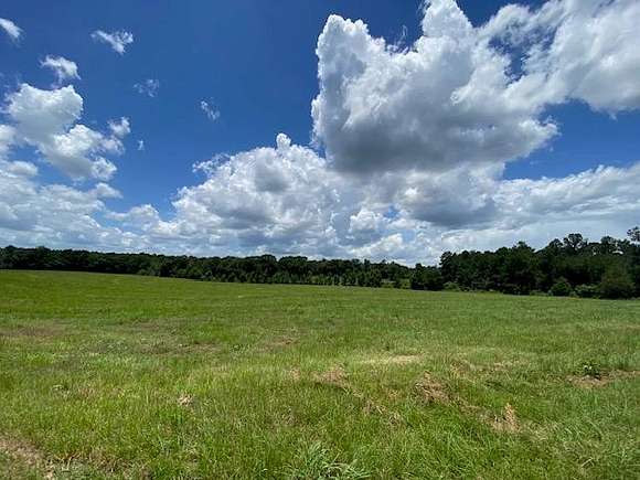 65 Acres of Agricultural Land for Sale in McComb, Mississippi