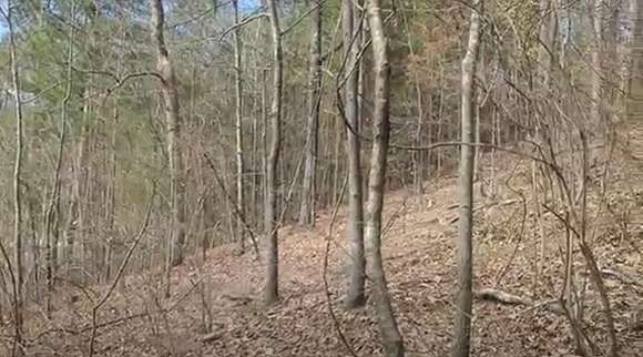 0.51 Acres of Residential Land for Sale in Dalton, Georgia
