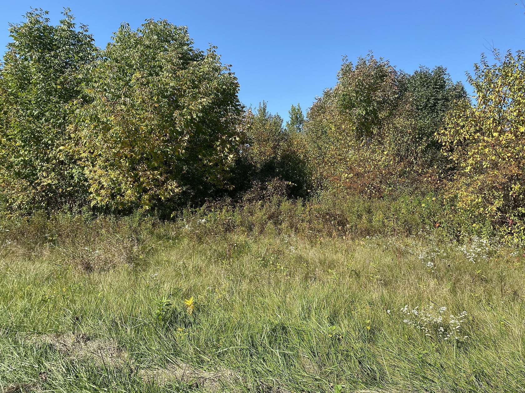 1.1 Acres of Land for Sale in Paw Paw, Michigan