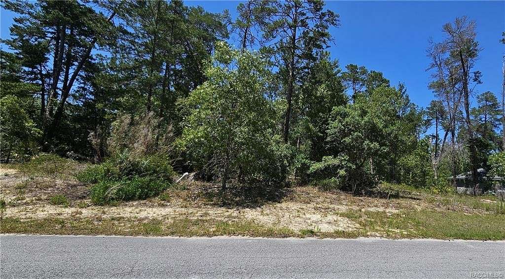 0.34 Acres of Residential Land for Sale in Homosassa, Florida