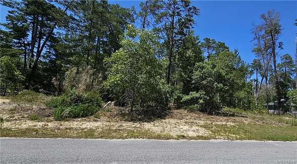 0.34 Acres of Residential Land for Sale in Homosassa, Florida