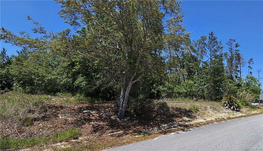 0.25 Acres of Residential Land for Sale in Homosassa, Florida