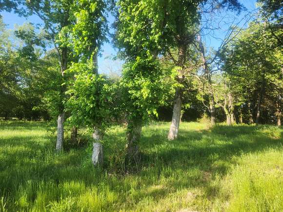 0.33 Acres of Residential Land for Sale in Lamar, Arkansas