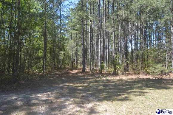 2.5 Acres of Residential Land for Sale in Hartsville, South Carolina