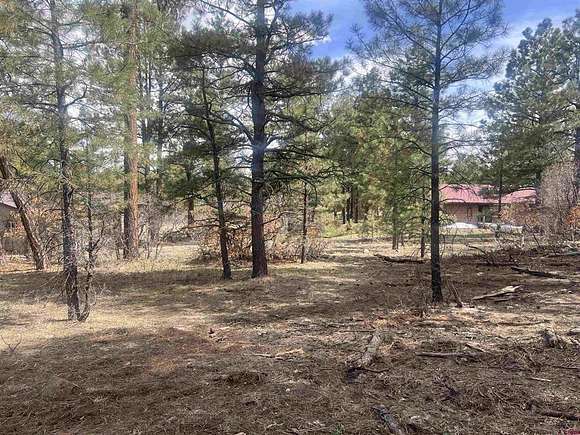 0.23 Acres of Residential Land for Sale in Pagosa Springs, Colorado