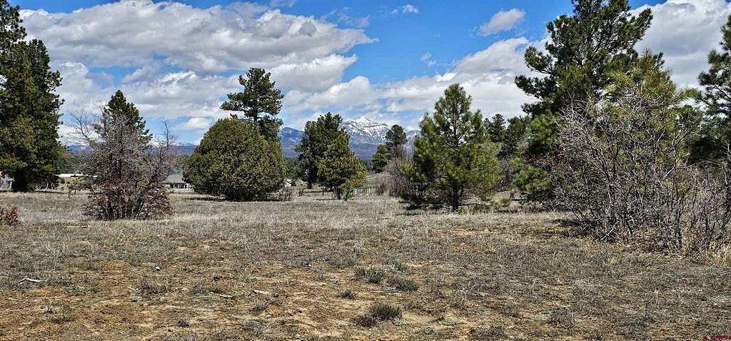 3 Acres of Residential Land for Sale in Pagosa Springs, Colorado