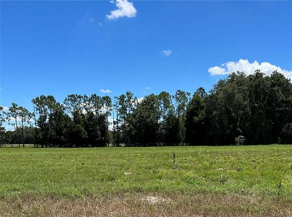 5 Acres of Land for Sale in Webster, Florida