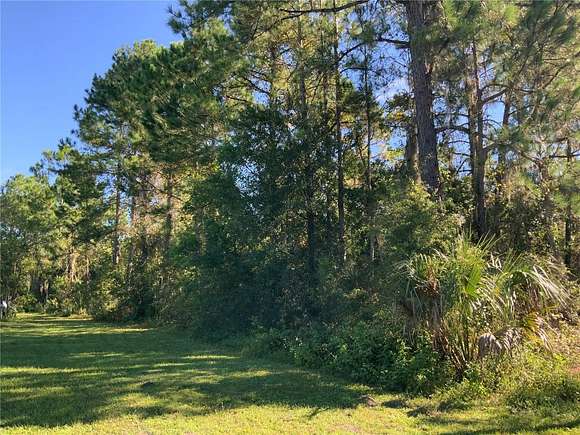 5 Acres of Land for Sale in Eustis, Florida