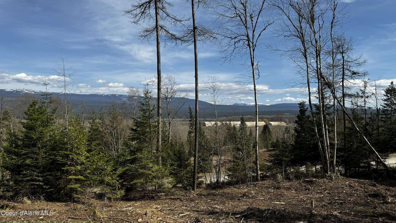 25.7 Acres of Recreational Land for Sale in Bonners Ferry, Idaho