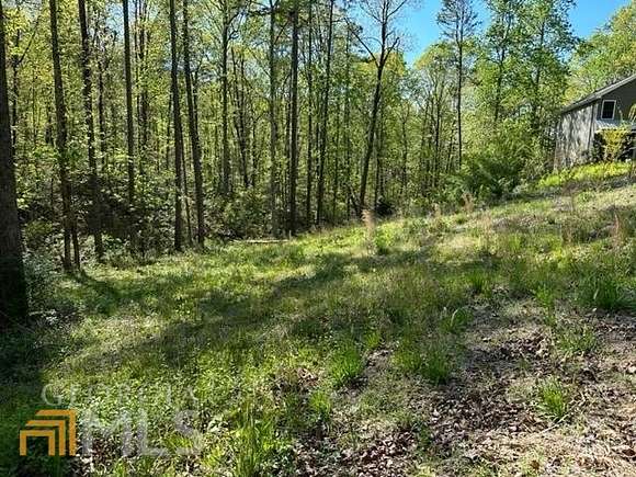 1.1 Acres of Residential Land for Sale in Toccoa, Georgia