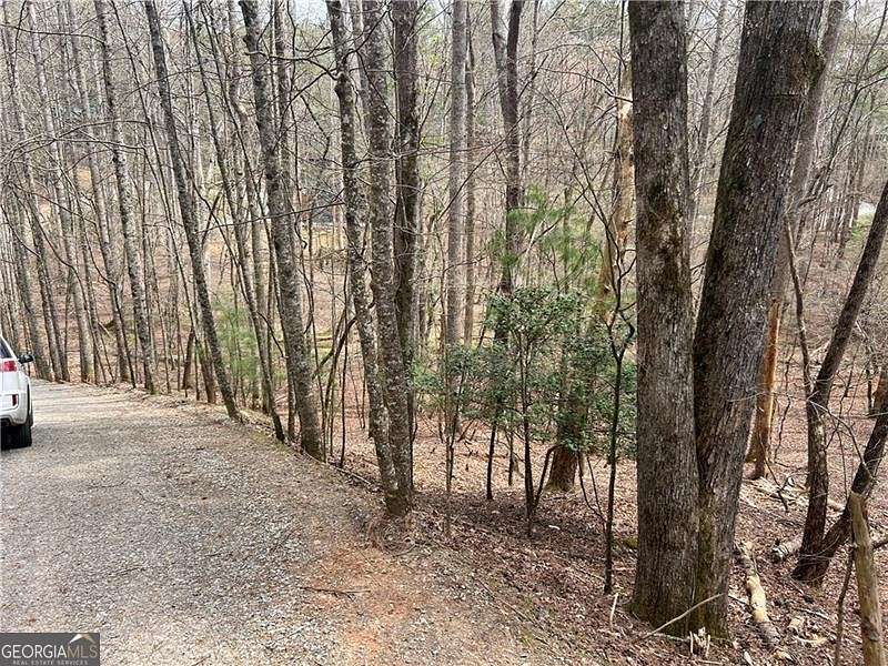 0.49 Acres of Residential Land for Sale in Ellijay, Georgia