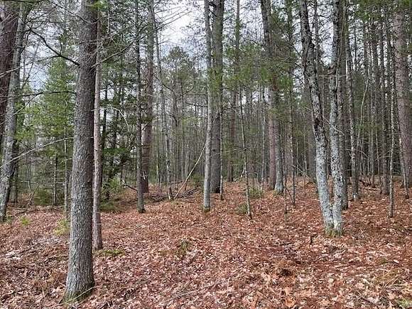4.4 Acres of Land for Sale in Land O' Lakes, Wisconsin