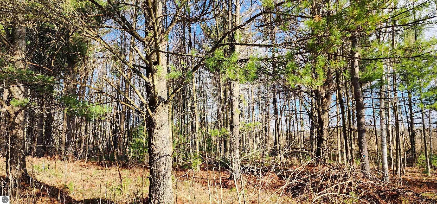9.9 Acres of Land for Sale in Twining, Michigan