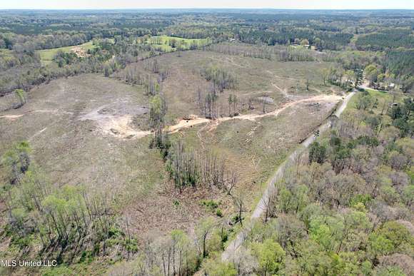 91 Acres of Land for Sale in Forest, Mississippi