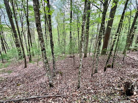 0.77 Acres of Land for Sale in Ellijay, Georgia