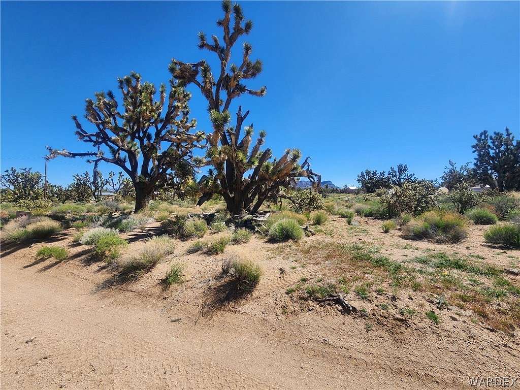 1.3 Acres of Residential Land for Sale in Meadview, Arizona