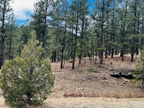 37.2 Acres of Recreational Land for Sale in Weston, Colorado
