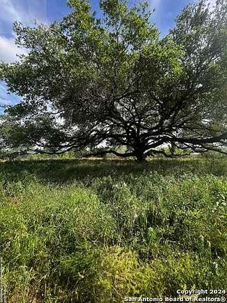 5 Acres of Residential Land for Sale in Devine, Texas