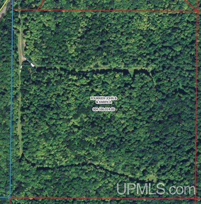 40 Acres of Land for Sale in Iron River, Michigan