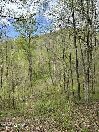 215 Acres of Land for Sale in Jamestown, Tennessee