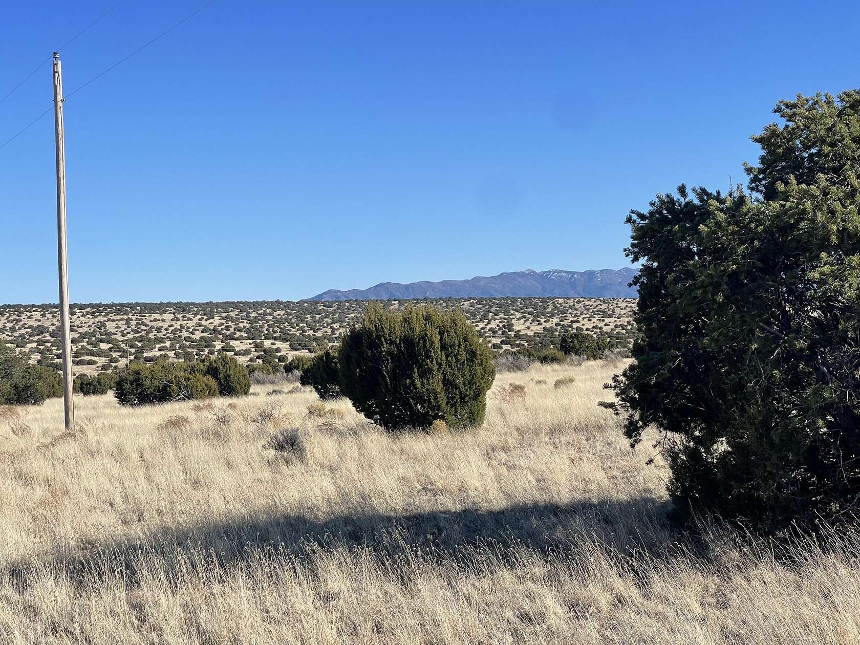 20 Acres of Land for Sale in Magdalena, New Mexico