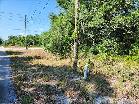 0.31 Acres of Residential Land for Sale in Lake Placid, Florida