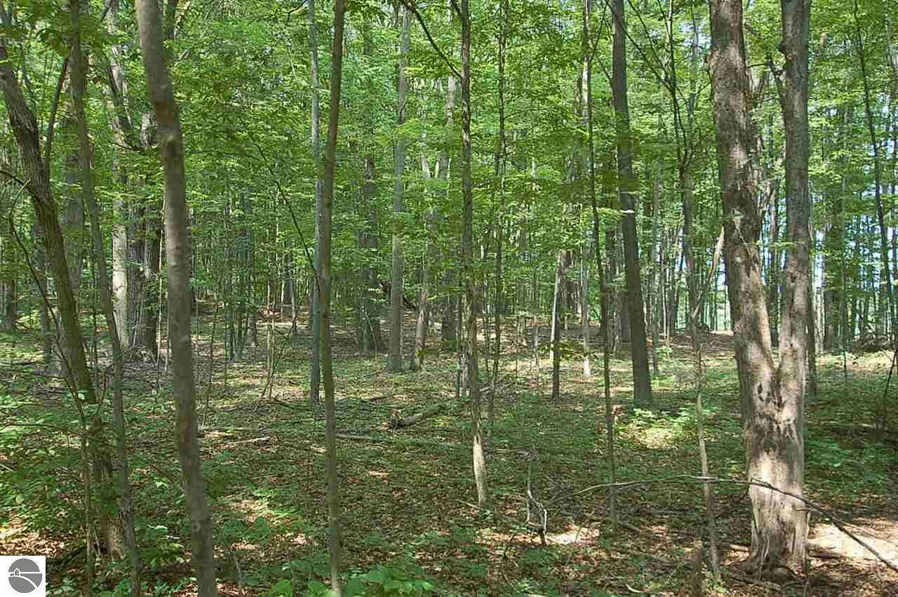 0.55 Acres of Land for Sale in Marion, Michigan