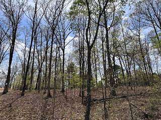 18 Acres of Land for Sale in Birch Tree, Missouri
