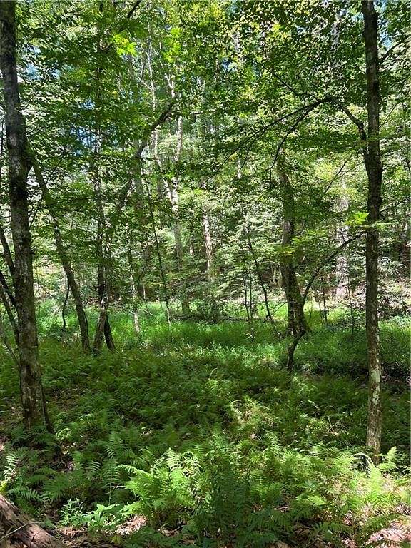 5.58 Acres of Residential Land for Sale in Clarkesville, Georgia