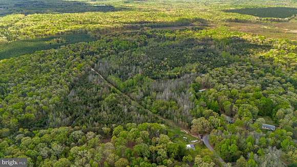67 Acres of Recreational Land for Sale in Spotsylvania, Virginia