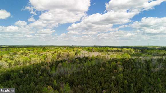 66.97 Acres of Recreational Land for Sale in Spotsylvania, Virginia